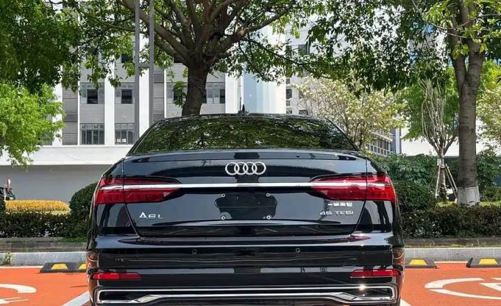 奥迪 A6L 2024款 45 TFSI 臻选致雅型