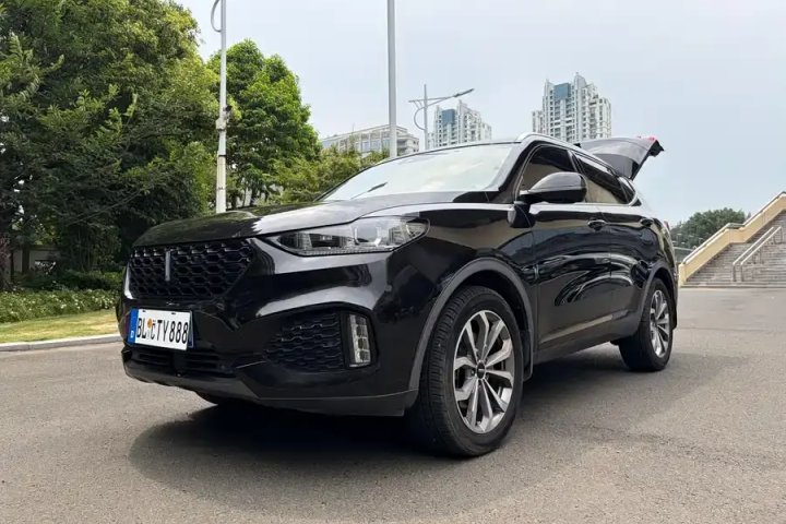 魏牌 VV6 2018款 2.0T 两驱旗舰型 国V