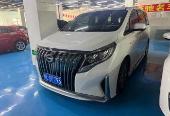 广汽传祺 传祺M8 2020款 大师版 390T 至尊版