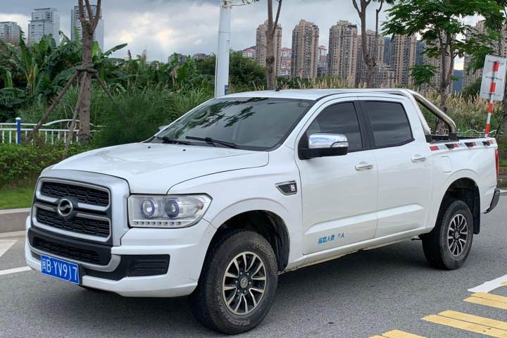中兴 领主 2.5T柴油商务版两驱舒适型标双SD4V25R-100
