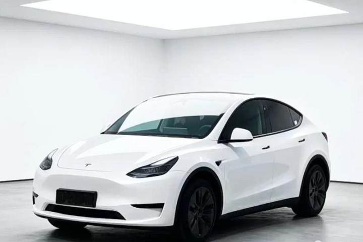 特斯拉 Model Y 2023款 高性能全轮驱动版
