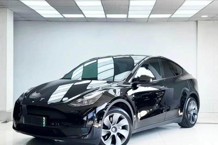 特斯拉 Model Y 2024款 长续航全轮驱动版