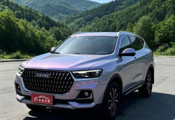 哈弗 H6 2023款 国潮版 1.5T 自动都市版