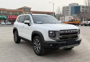 哈弗 大狗 2024款 1.5T DCT边牧版