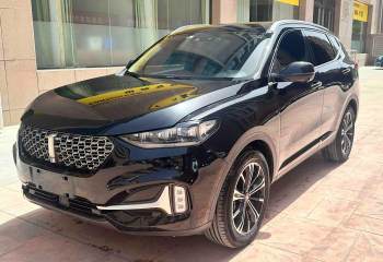 魏牌 VV6 2021款 2.0T 两驱智护+