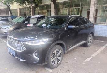 哈弗 F7x 2019款 1.5T 两驱极智潮玩版
