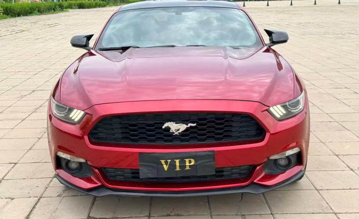 福特 Mustang 2015款 2.3T 50周年纪念版