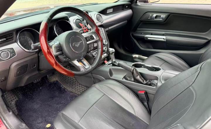 福特 Mustang 2015款 2.3T 50周年纪念版