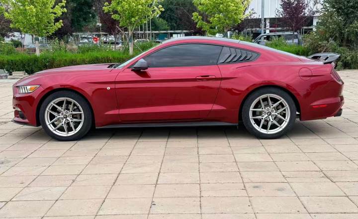 福特 Mustang 2015款 2.3T 50周年纪念版