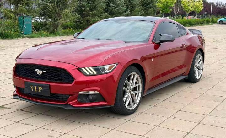 福特 Mustang 2015款 2.3T 50周年纪念版
