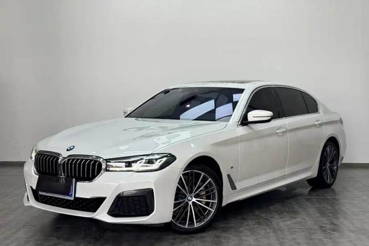 宝马 5系 改款二 530Li 领先型 M运动套装