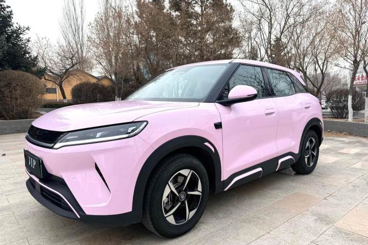 比亚迪 元UP 2025款 智驾版 401KM 领先型