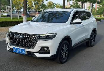哈弗 H6 2023款 国潮版 1.5T 自动都市版