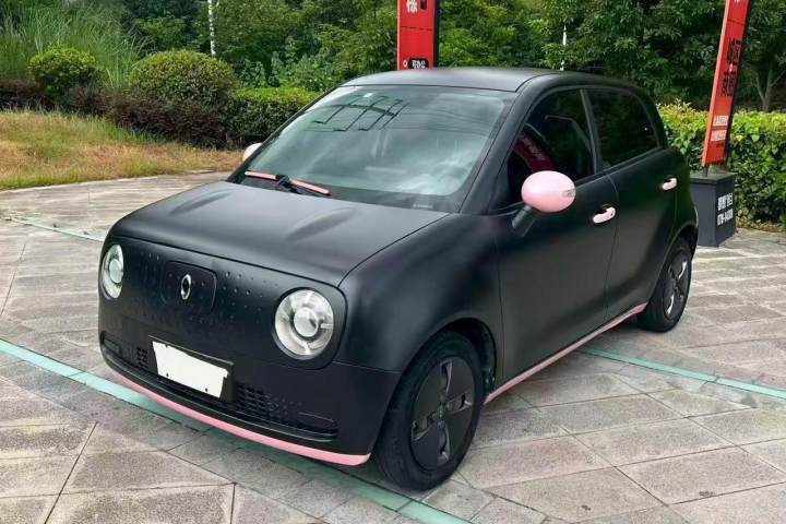 欧拉 黑猫 301km 基础型