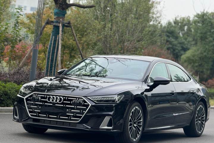 奥迪 A7L 45 TFSI 豪华型