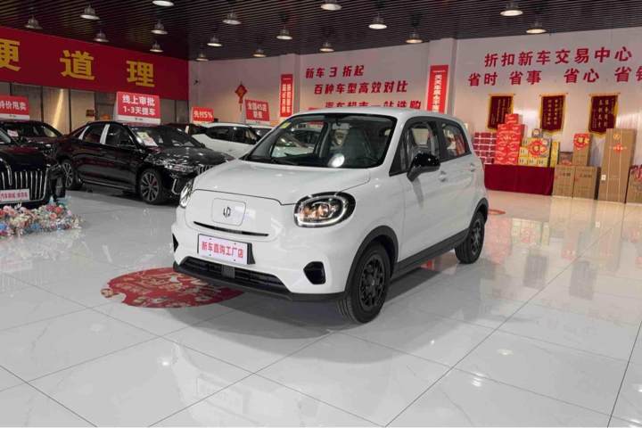 零跑汽车 零跑T03 310舒享版