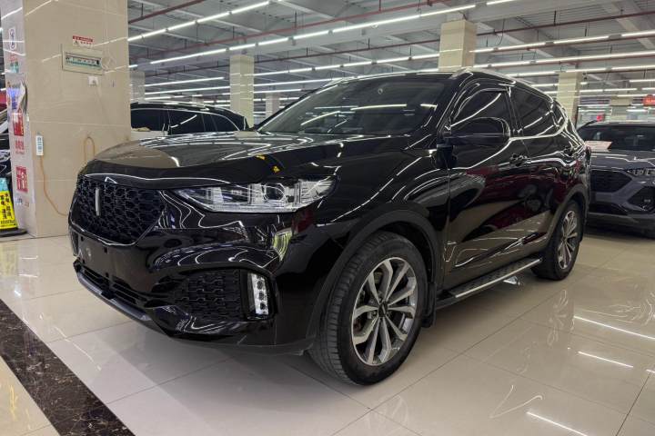 魏牌 VV6 2019款 2.0T 两驱旗舰型 国VI