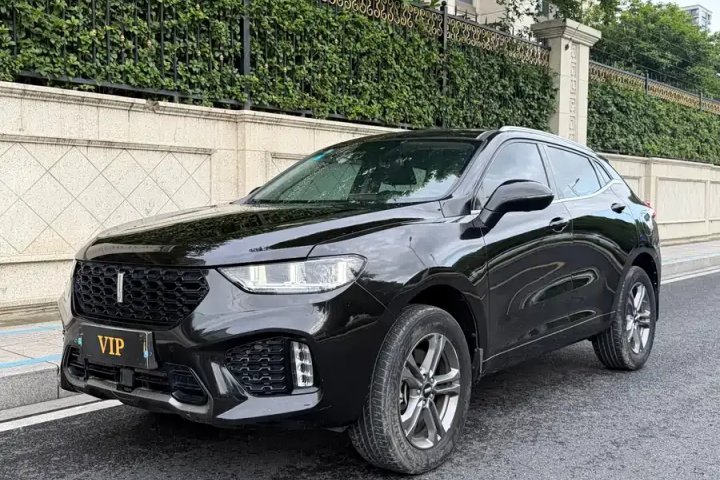 魏牌 VV5 2019款 升级款 2.0T 两驱超豪型 国V