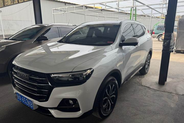 哈弗 H6 2025款 1.5T 国潮冠军版