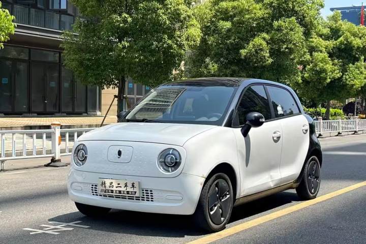 欧拉 黑猫 2021款 301km 基础型