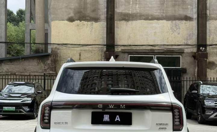哈弗 大狗 2024款 2.0T DCT中华田园犬版