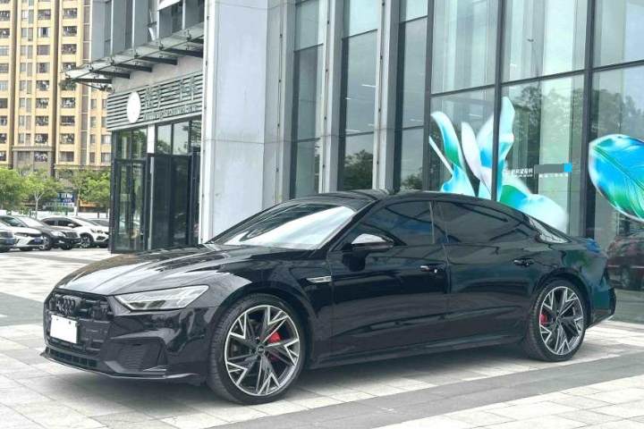 奥迪 A7L 2024款 45 TFSI quattro Sline 黑武士版