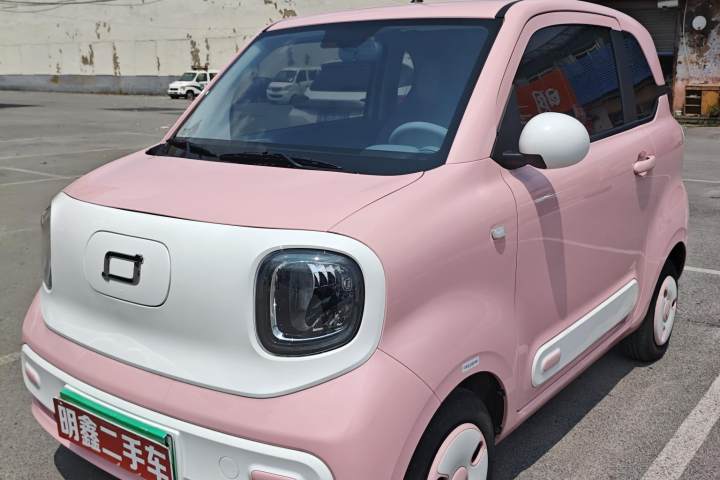 奔腾 小马 222km 闪电马