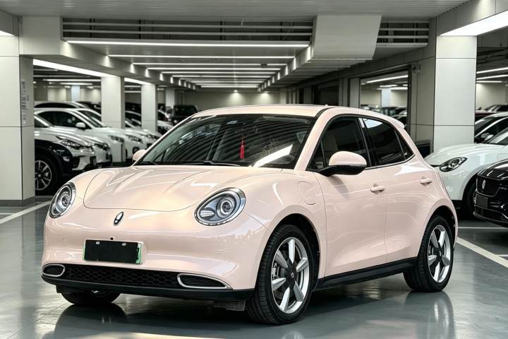 欧拉 好猫 2023款 401km标准续航 豪华型 磷酸铁锂