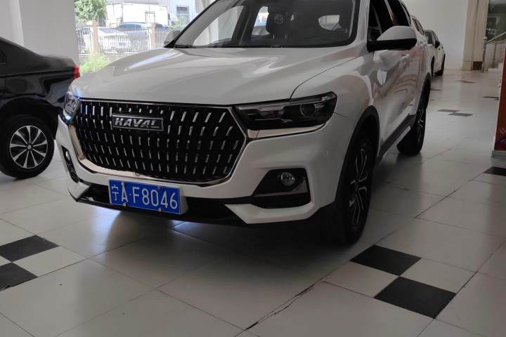 哈弗 H6 国潮版 1.5T 自动冠军版