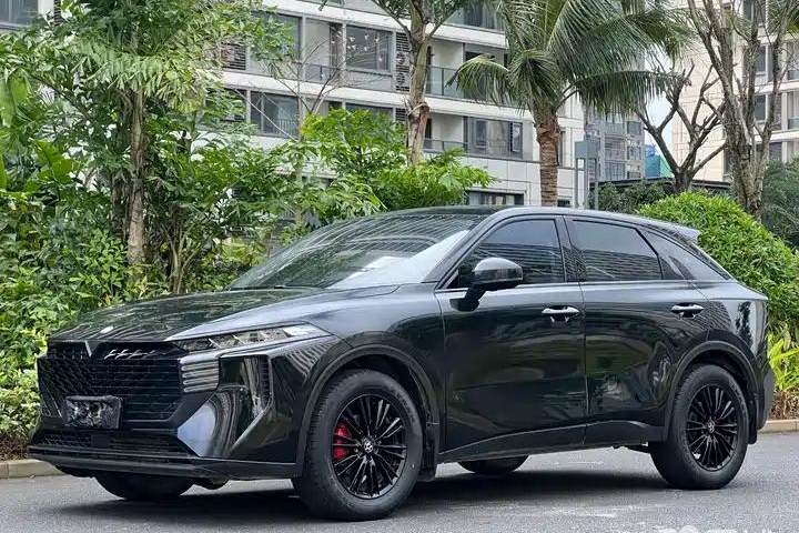 启辰 大V 260T 黑马版·爱豆