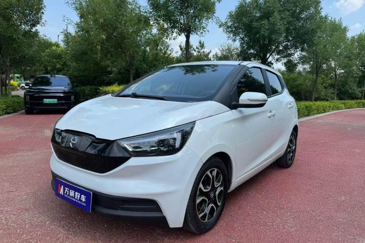 江铃集团新能源 易至EV3 小雷达悦跑型