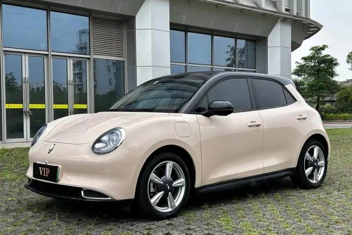 欧拉 好猫 401km 豪华型