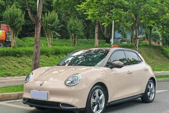 欧拉 好猫 500km长续航 波塞冬版 三元锂