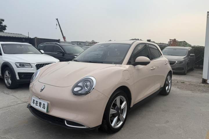 欧拉 好猫 401km标准续航 尊贵型 磷酸铁锂