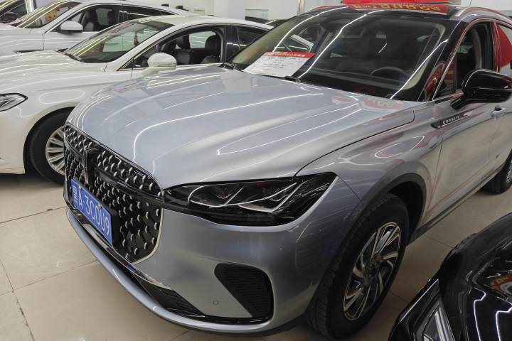 林肯 冒险家 2.0T 两驱尊享版