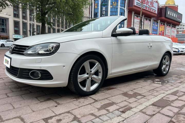 大众 Eos 2.0TSI DSG 月夜版