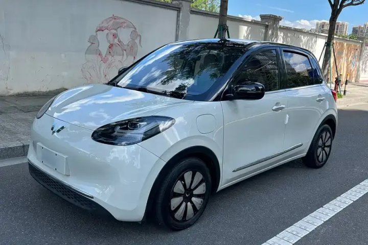 五菱汽车 五菱缤果 333km 灵犀互联+款