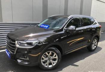 哈弗 H6 2021款 国潮版 1.5T 自动冠军版