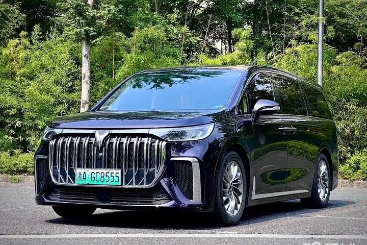 岚图汽车 岚图梦想家 2024款 EV 长续航尊贵版