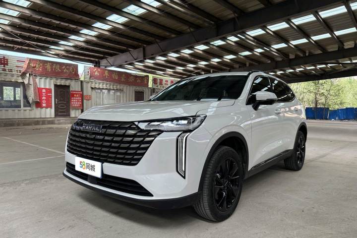 哈弗 H6 2024款 1.5T 两驱Max
