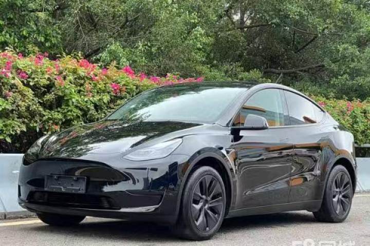特斯拉 Model Y 2024款 长续航全轮驱动版