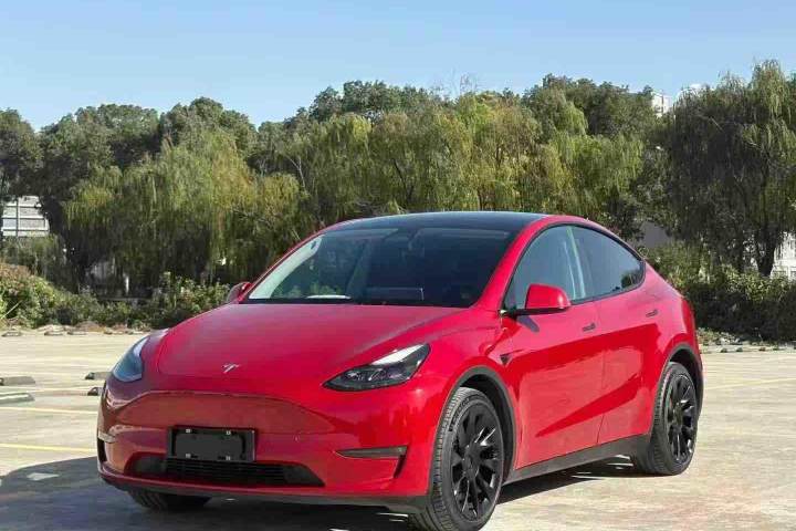 特斯拉 Model Y 长续航全轮驱动版