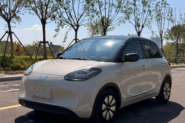 五菱汽车 五菱缤果 2023款 203km 舒享款