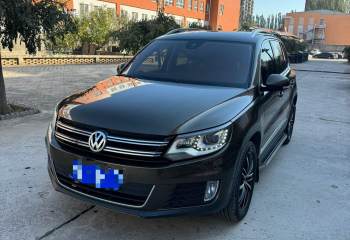 大众 途观 2010款 2.0TSI 自动四驱旗舰导航版