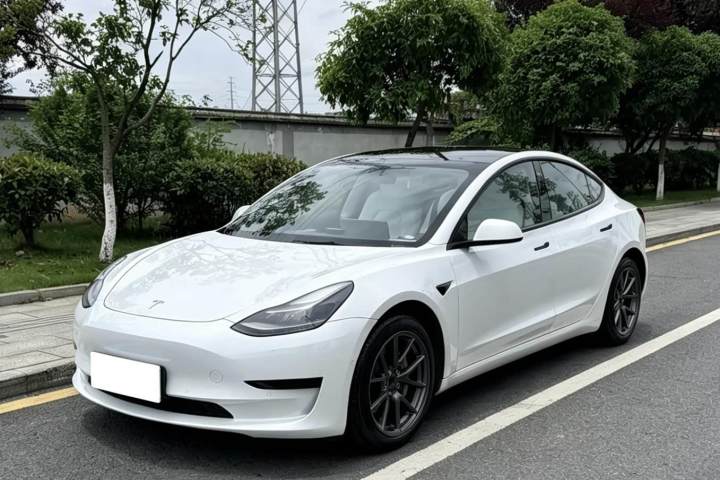 特斯拉 Model 3 标准续航后驱升级版