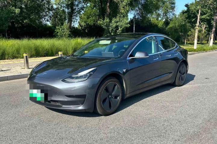 特斯拉 Model 3(进口) 标准续航后驱升级版