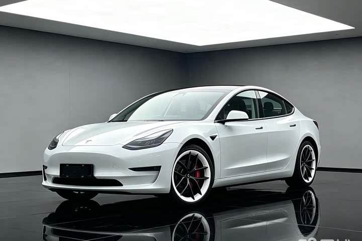 特斯拉 Model 3 Performance高性能全轮驱动版