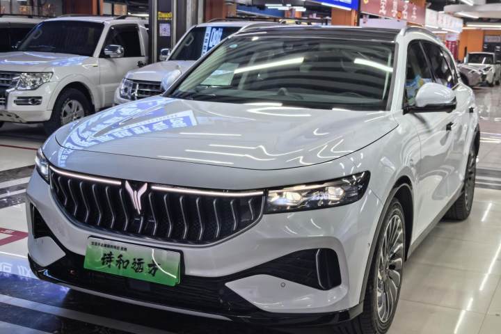 岚图汽车 岚图FREE 四驱标准增程专属豪华套装