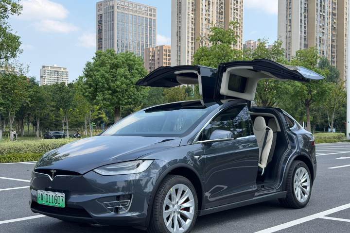 特斯拉 Model X Performance 高性能版