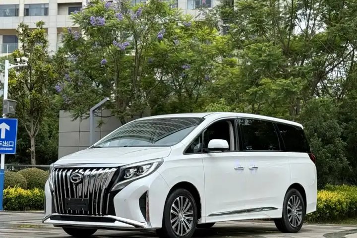 广汽传祺 传祺M8 领秀系列 390T 至尊版